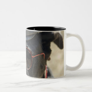 Tragender Hut und Sonnenbrille der Deutschen Dogge Zweifarbige Tasse