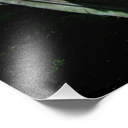 "Träger des Lebens" Fotodruck (Ecke)