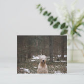 Tragfähigkeit im Wald Postkarte (Stehend Vorderseite)