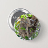 Trägheit Button (Vorne & Hinten)