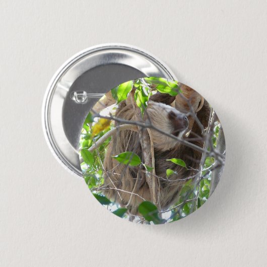 Trägheit Button (Vorne & Hinten)