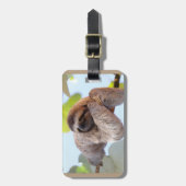 Trägheit, die auf Baumast stillsteht Gepäckanhänger (Vorderseite vertikal)