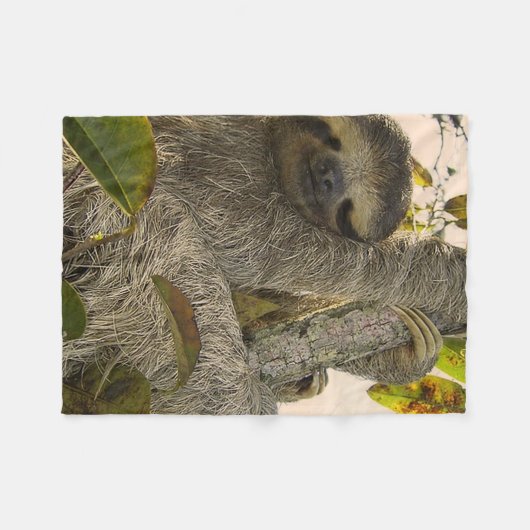 Trägheit Fleecedecke (Vorderseite (Horizontal))