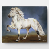 Trägheit Fotoplatte (Vorderseite)