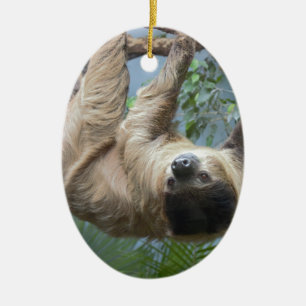 Trägheit Keramikornament