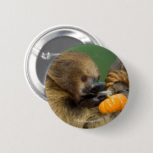 Trägheit mit Kürbis Button (Vorne & Hinten)