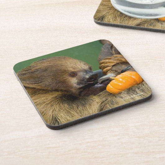 Trägheit mit Kürbis Getränkeuntersetzer (Linke Seite)