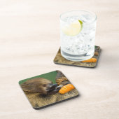 Trägheit mit Kürbis Getränkeuntersetzer (Rechte Seite)