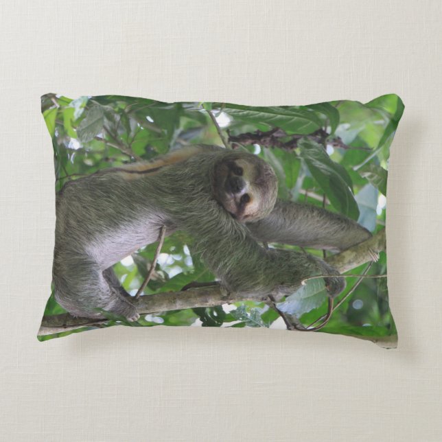 Trägheits-Kissen Zierkissen (Rückseite)