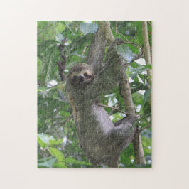 Trägheits-Puzzlespiel Puzzle