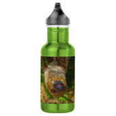 Trägheits-Regenwald-Wasser-Flasche Edelstahlflasche (Rechts)