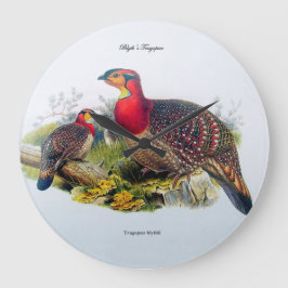 Tragopan/Horny Pheasant Clock J.Gould 1883 Große Wanduhr