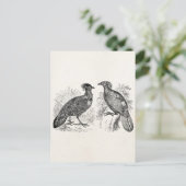 Tragopan Tragopan Pheasant Impeyan Bird Vintag Has Postkarte (Stehend Vorderseite)