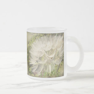 Tragopogon dubius - Gelber Ziegenbart Mattglastasse