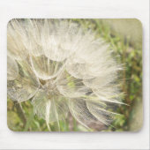Tragopogon dubius - Gelber Ziegenbart Mousepad (Vorne)