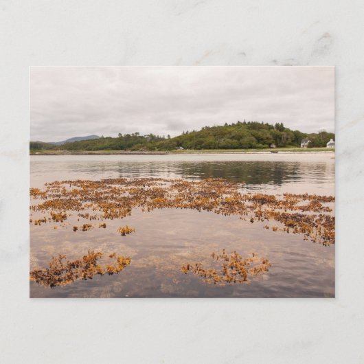 Traigh Beach Postkarte (Vorderseite)