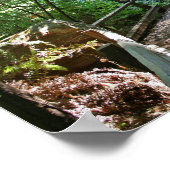 "Trail Break", Muir Woods Poster (Ecke)