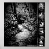 Trail Image Poster (Vorne)