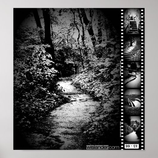 Trail Image Poster (Vorne)