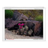 Trail Images Fotografy Calendar Kalender (Titelbild)