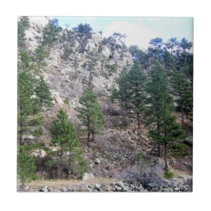 Trail in Jefferson County, Colorado Fliese