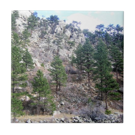 Trail in Jefferson County, Colorado Fliese (Vorderseite)