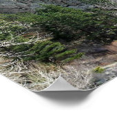 Trail in Jefferson County, Colorado Poster (Ecke)
