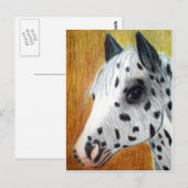 "Trail Ride" Appalloosa Pferd Postkarte (Vorne/Hinten)