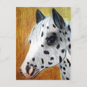 "Trail Ride" Appalloosa Pferd Postkarte
