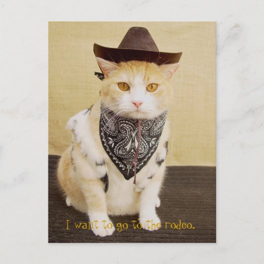 Trail Rider Bubba Postkarte (Vorderseite)