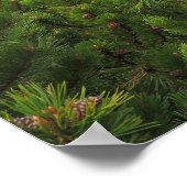 Trail - Tatras Slowakei Poster (Ecke)