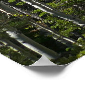 Trail to Alberta Falls Poster (Ecke)