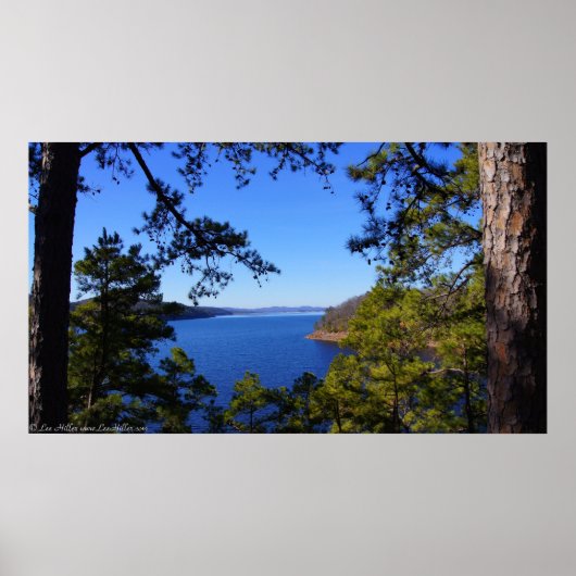 Trail View Winter Lake Ouachita Arkansas Poster (Vorne)