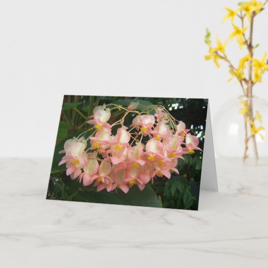 Trailing Begonia Karte (Gelbe Blume)