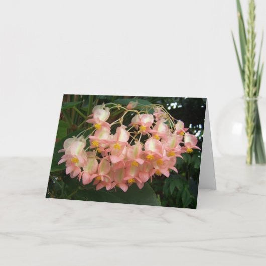 Trailing Begonia Karte (Vorderseite)