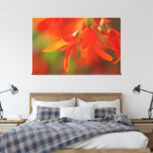 Trailing Orange Begonia Leinwanddruck (Insitu (Schlafzimmer))