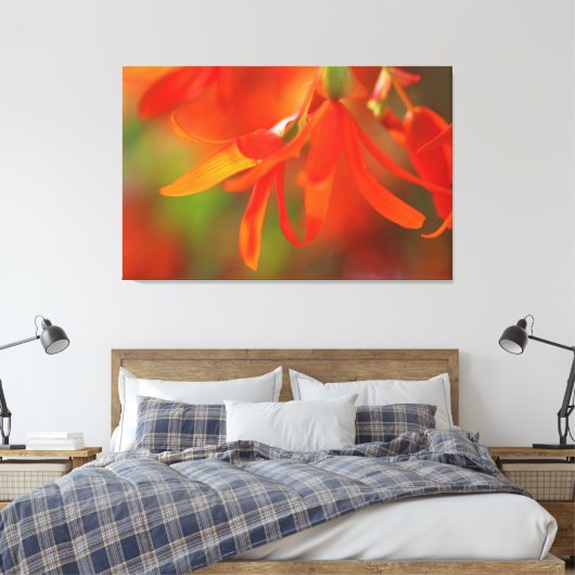 Trailing Orange Begonia Leinwanddruck (Insitu (Schlafzimmer))