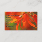 Trailing Orange Begonia Visitenkarte (Vorderseite)