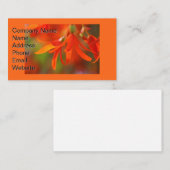 Trailing Orange Begonia Visitenkarte (Vorne/Hinten)