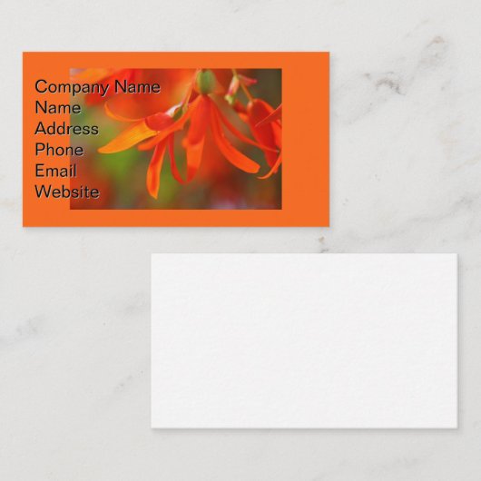 Trailing Orange Begonia Visitenkarte (Vorne/Hinten)