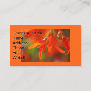 Trailing Orange Begonia Visitenkarte