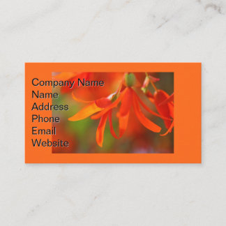 Trailing Orange Begonia Visitenkarte