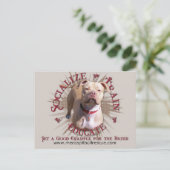 Train Educate Pitbull Postkarte (Stehend Vorderseite)