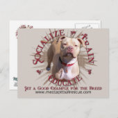 Train Educate Pitbull Postkarte (Vorne/Hinten)