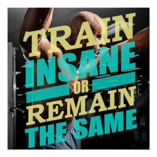 Train Insane Motivational Poster (Vorderseite)