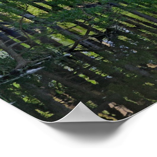 Train Trestle Poster (Ecke)