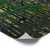Train Trestle Poster (Ecke)