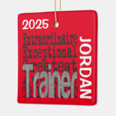 Trainer Extraordinaire CUSTOM Keramikornament (Links)