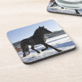 Training der Pferde in einer winterlichen Untersetzer (Linke Seite)