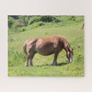 Trait Breton Pferd auf dem Feld Puzzle